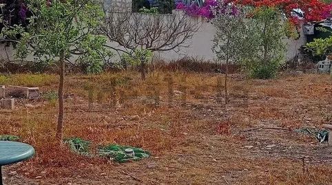 SE VENDE PARCELA VALLADA  MUTXAMEL  CASITA DE MADERA, imatge 4