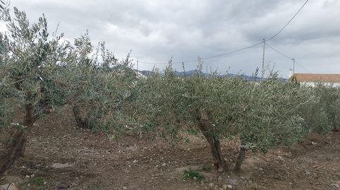 Foto 2 de Finca rústica en venta en Avenida la Escucha, Polg 144, Parcela 33, Sangonera la Seca, Murcia Capital
