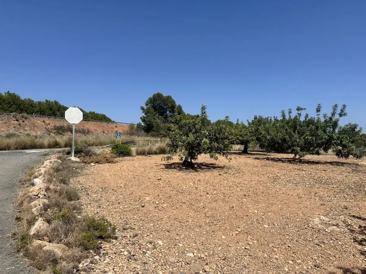 Terreno residencial en venta en Alfara de la Baronia, imagen 2