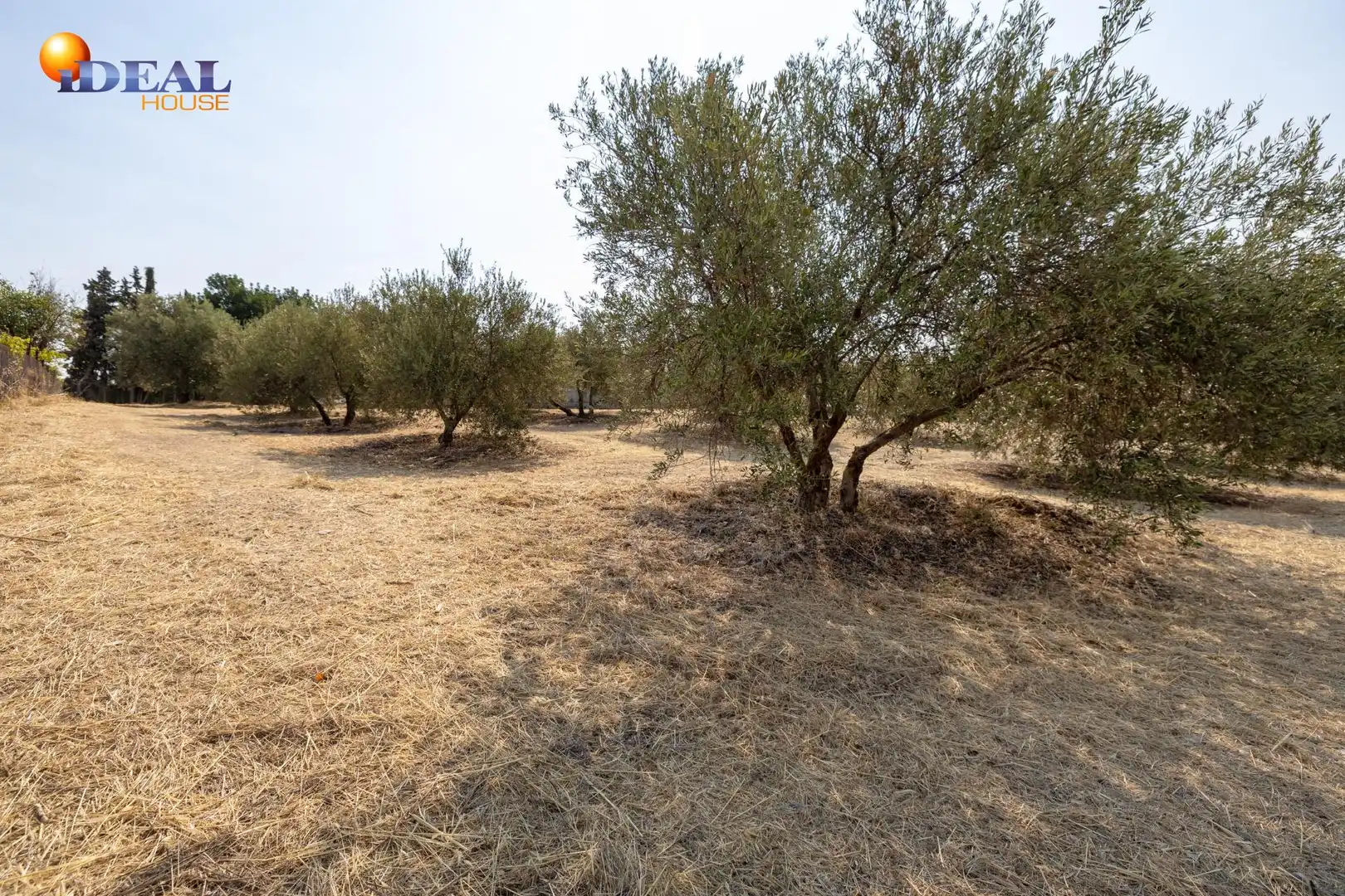 Finca rústica en venta en Moraleda de Zafayona