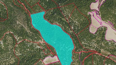 Terreno en venta en Plana Forne. Monroyo, immagine 3