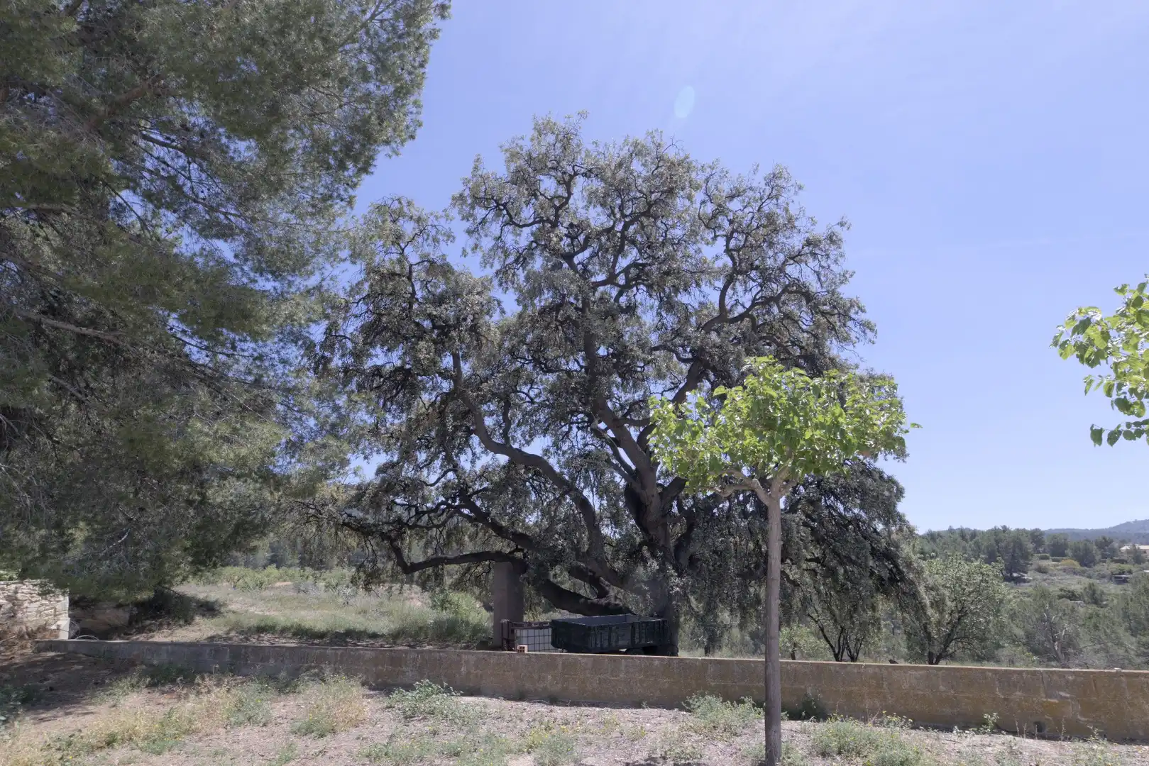 Casa o chalet en venta en PT SERRATELLA, Jijona / Xixona
