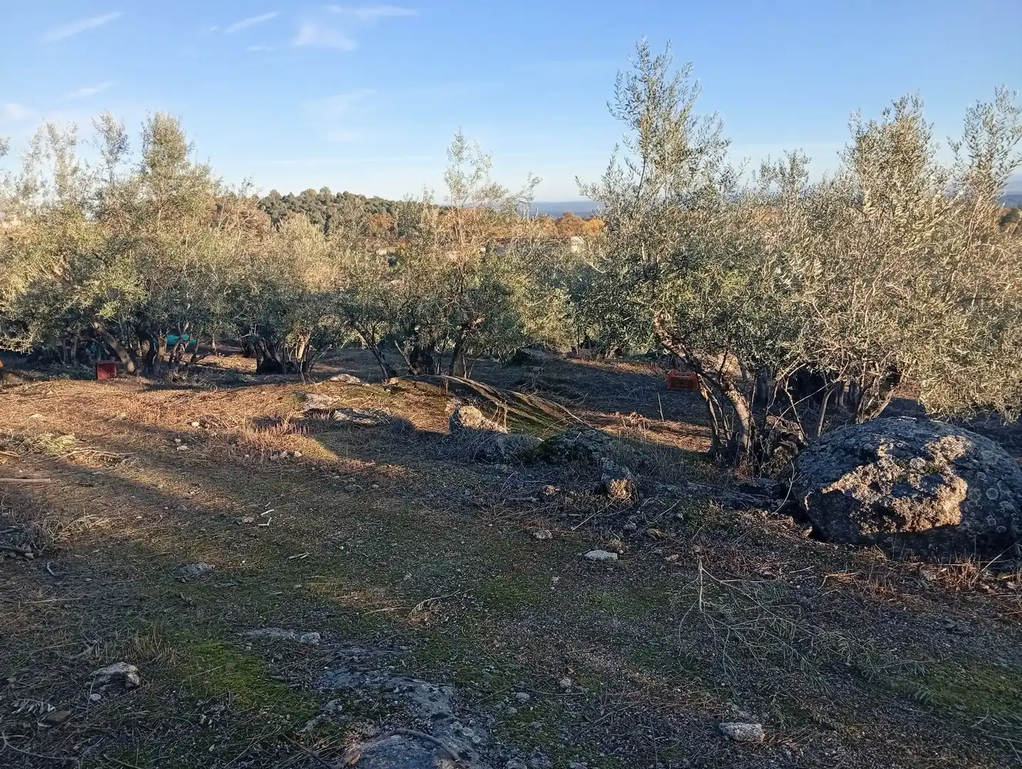 Terreni e lotti in vendita a Villanueva de la Vera, imagen 26