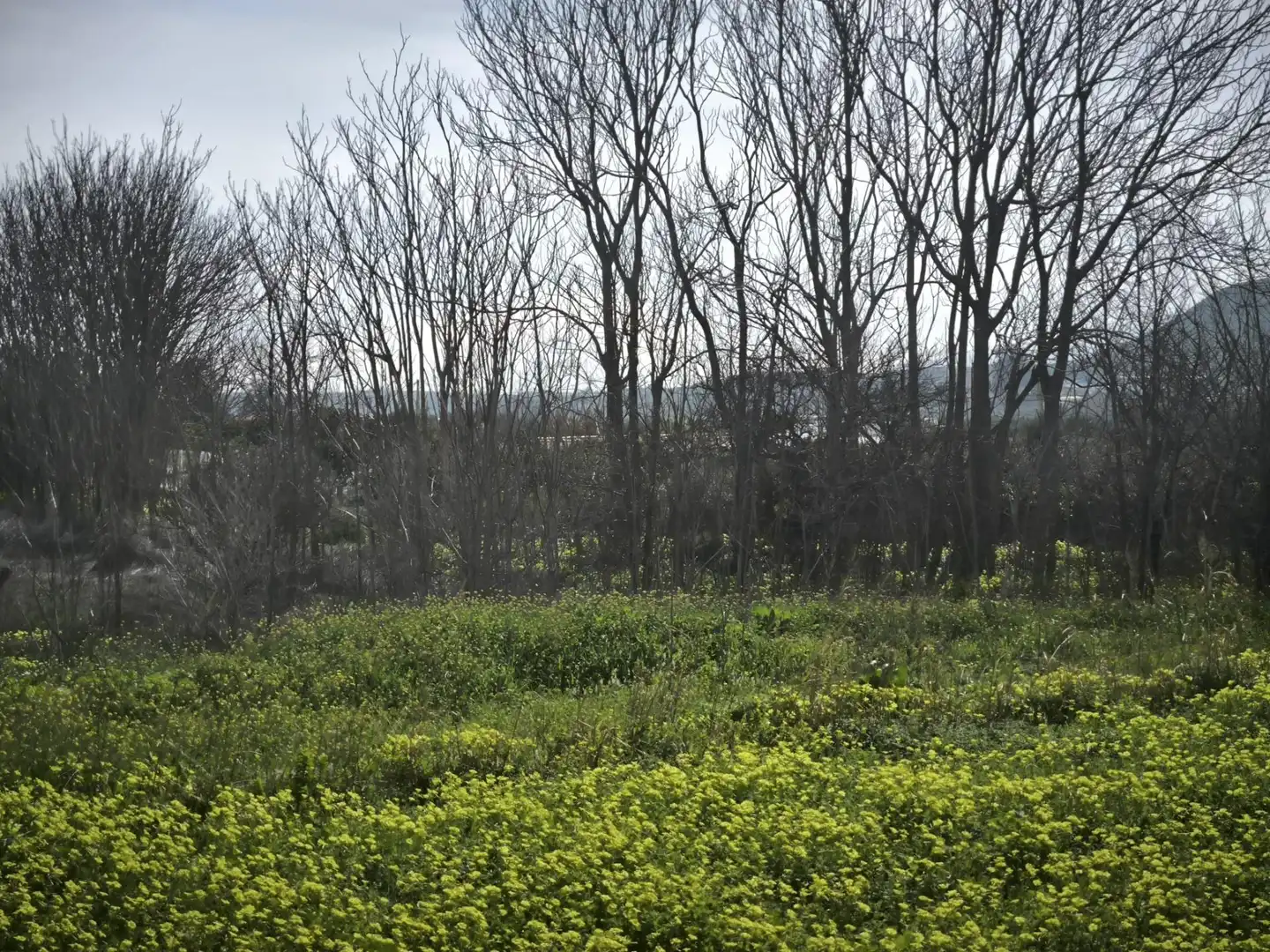 Lands and plots for sale in Gádor, imagen 23