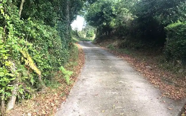Terreno rustico in vendita a Camino DE LOS CIERROS-CALDONES, imagen 25