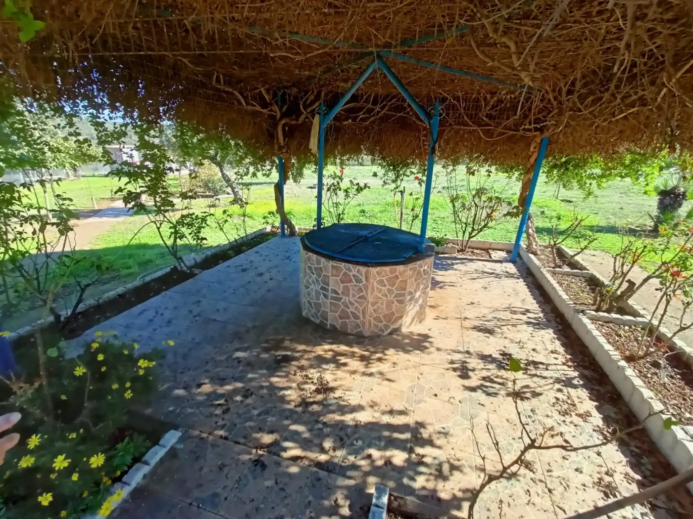 Jardí de Casa o xalet en venda en Alburquerque amb Jardí privat, Piscina i Moblat