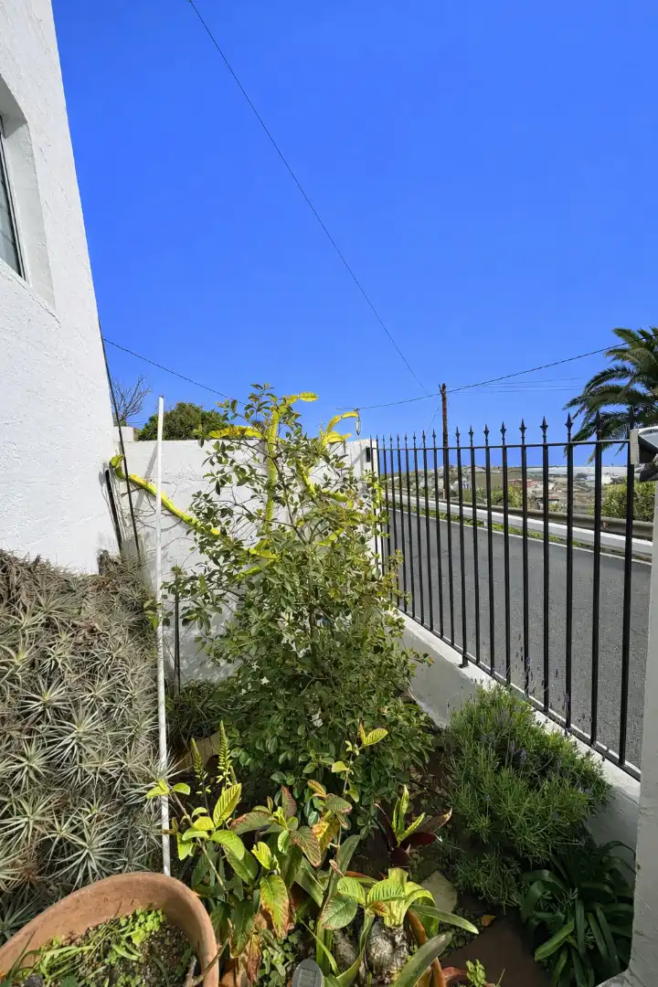 Exterior view of Detached homes for sale in Moya (Las Palmas)  with Terrace and Storage room