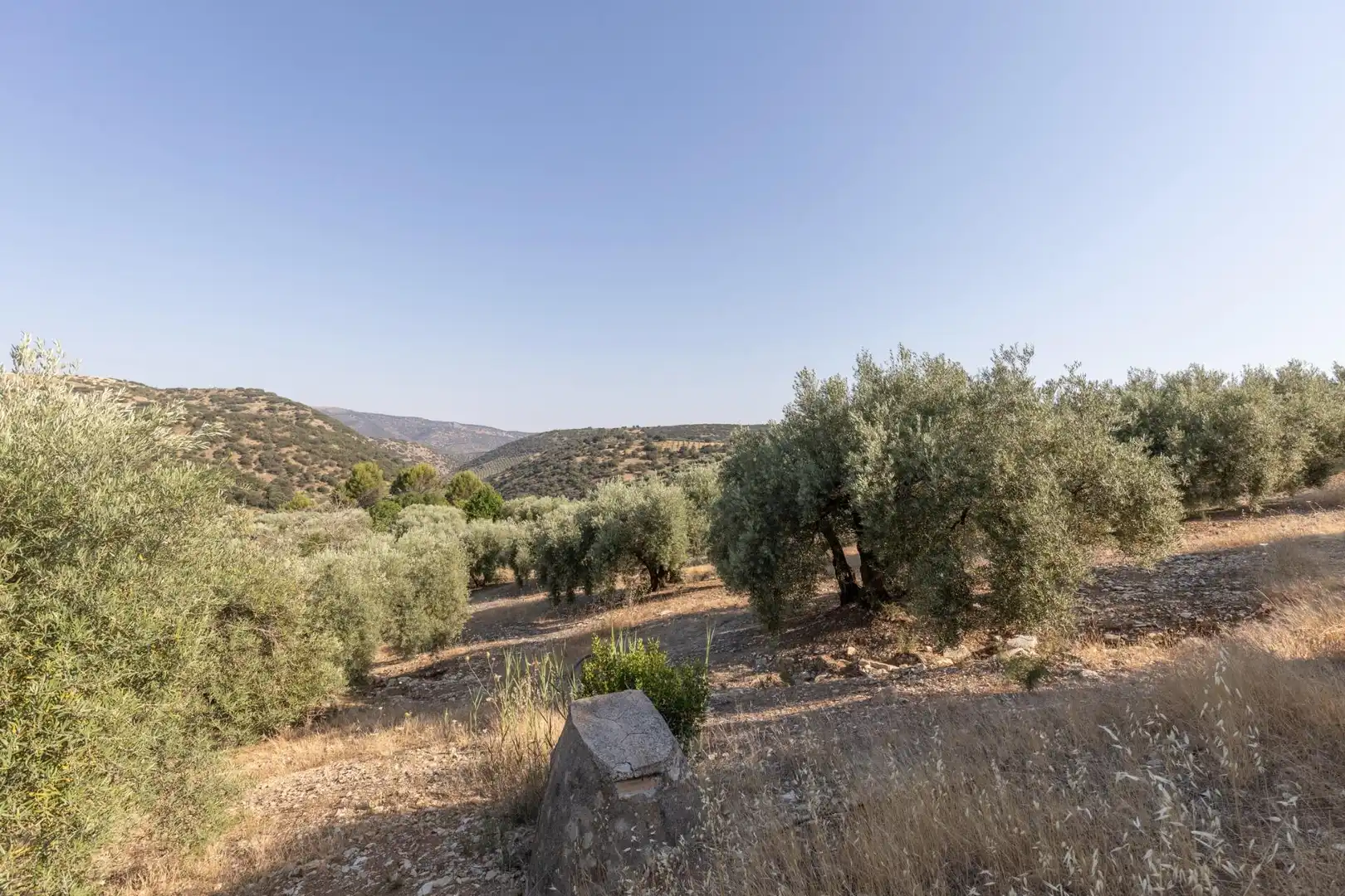 Terreni e lotti in vendita a Lugar Lugar del Cortijo Aguadero, imagen 40