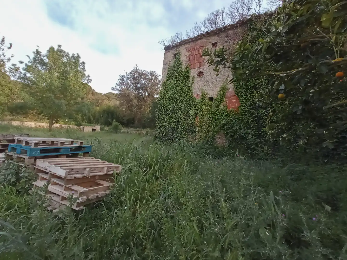 Landhaus mit Garten zum Verkauf in Carrer Olivera 25, imagen 13