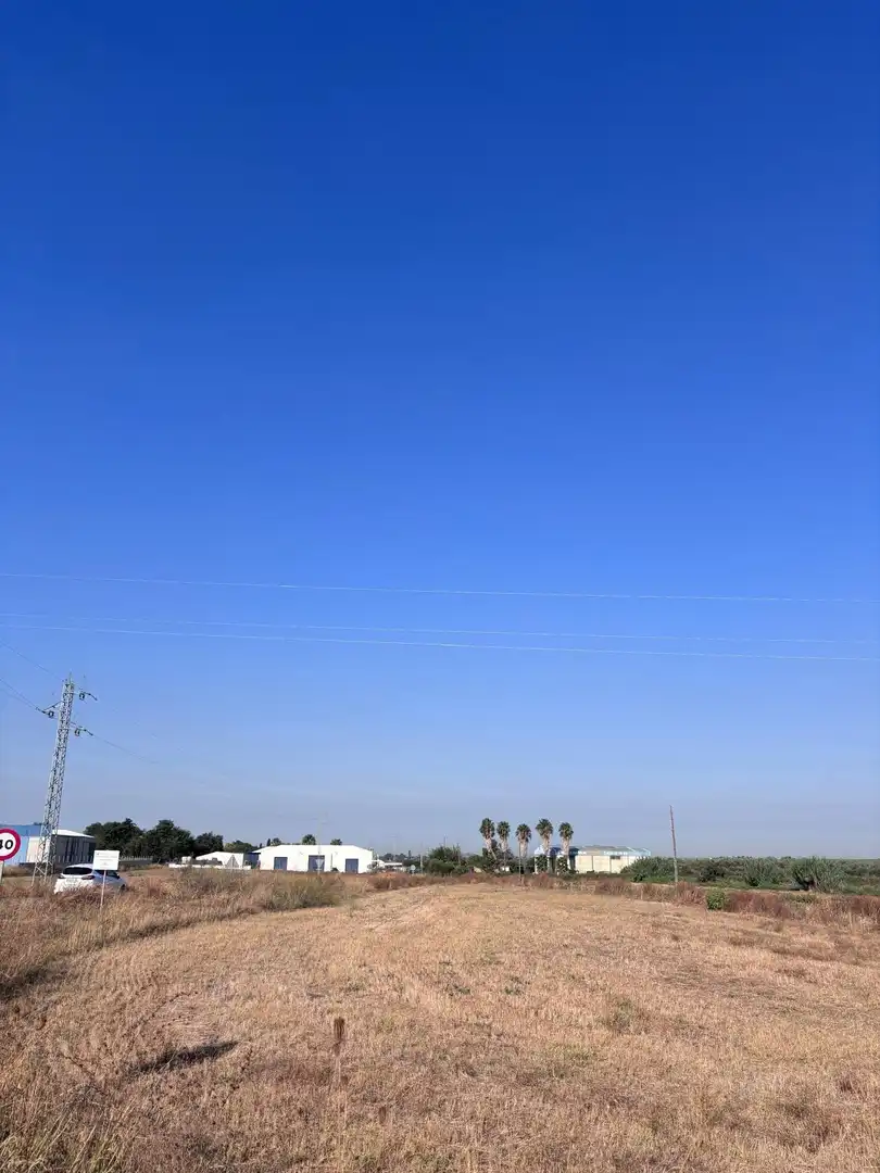 Terreny rústic en venda a Los Palacios y Villafranca, imagen 4