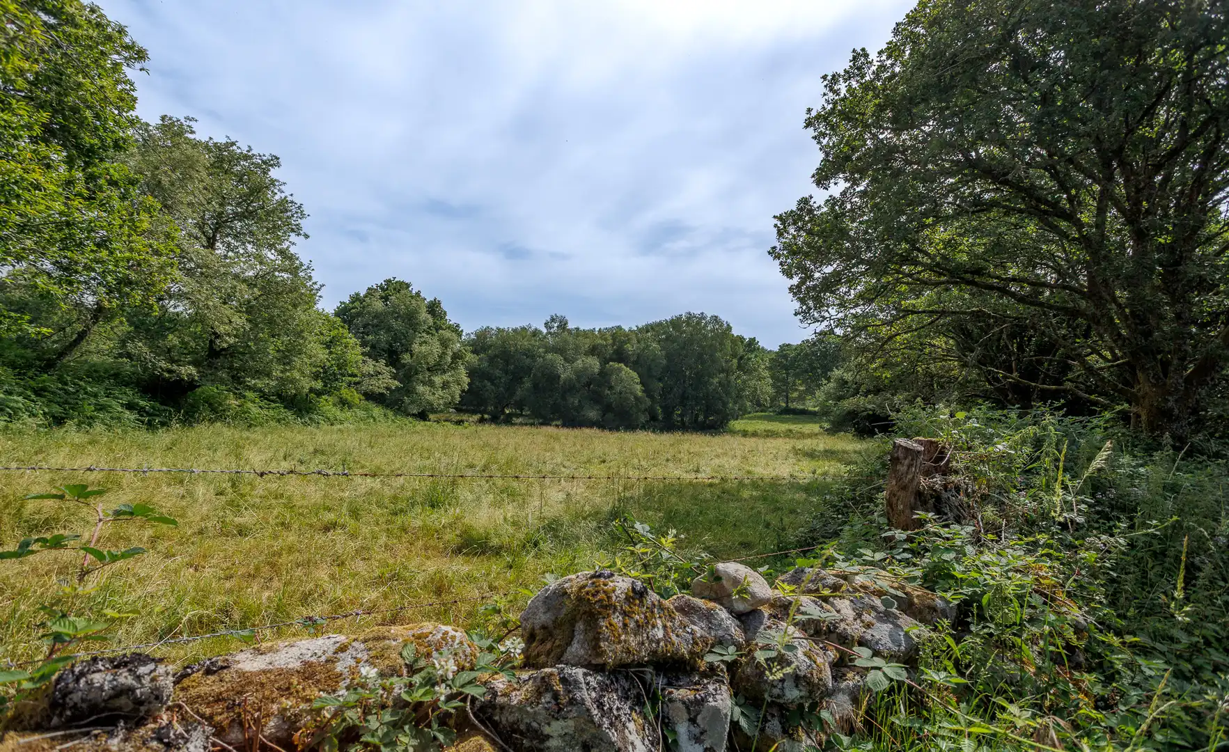Finca rústica en venta en Parada de Sil