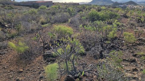 Foto 5 von Grundstücke zum Verkauf in Charco del Pino, Granadilla de Abona