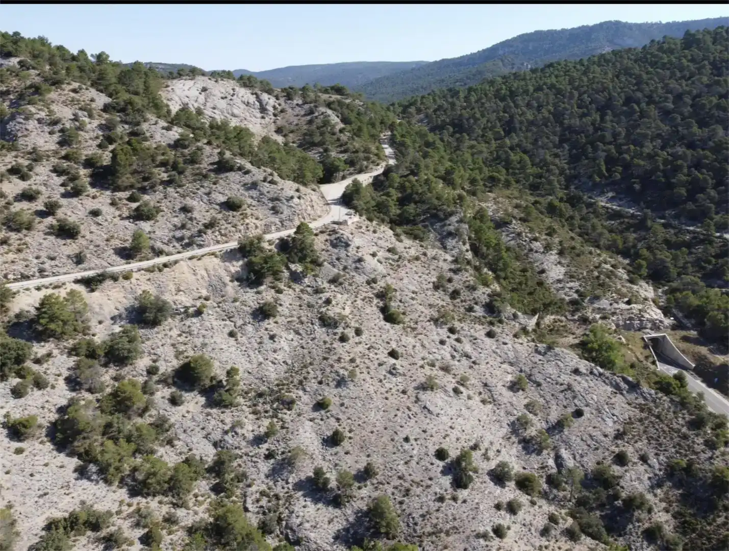 Land for sale in Cañamares