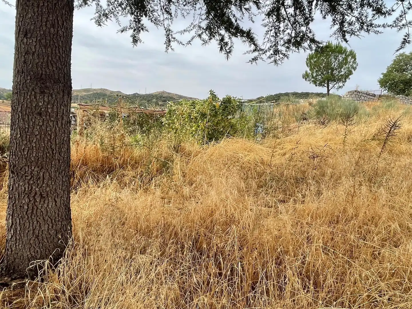 Casa o xalet en venda en Espinosa de Henares amb Calefacció, Jardí privat i Terrassa