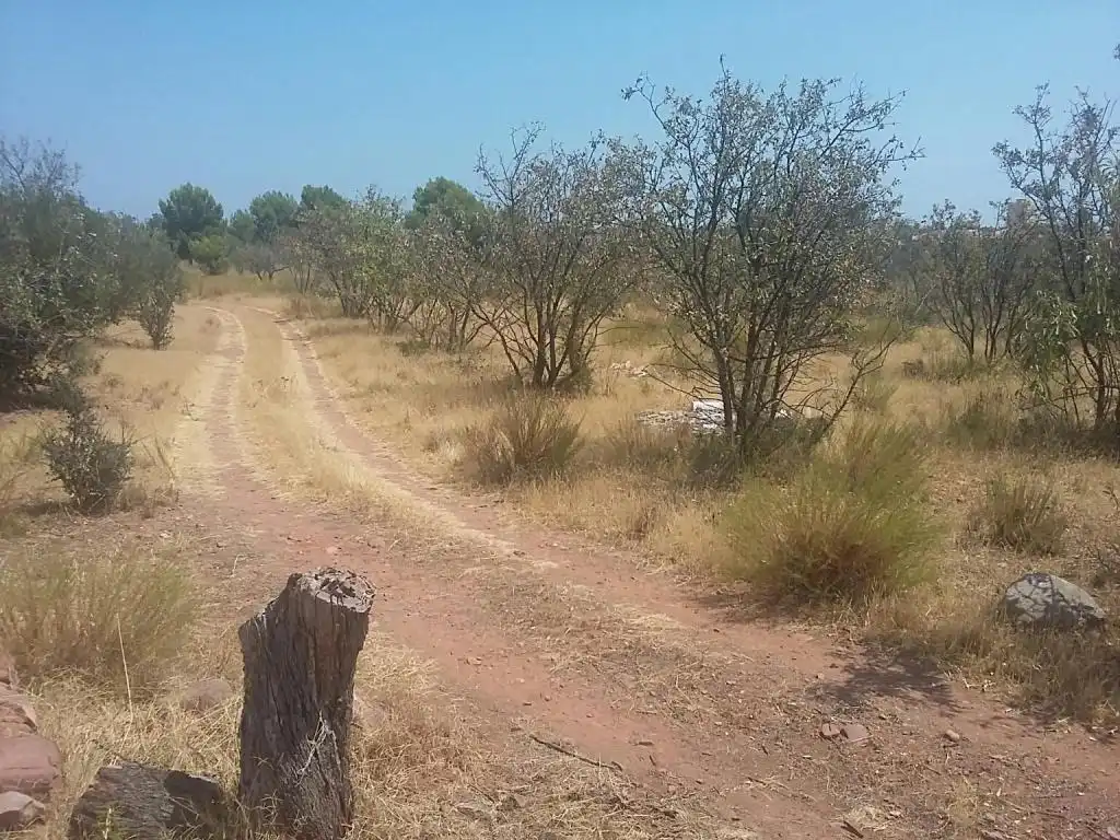 Terreno rustico in vendita a Pj Tossar de Les Forques, imagen 6