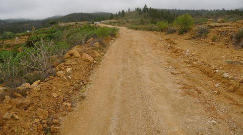 Foto 4 von Grundstücke zum Verkauf in Granadilla de Abona ciudad, Granadilla de Abona