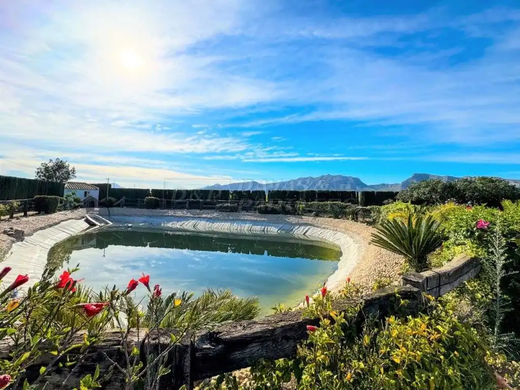 Piscina de Casa o xalet en venda en Orihuela amb Aire condicionat, Jardí privat i Traster