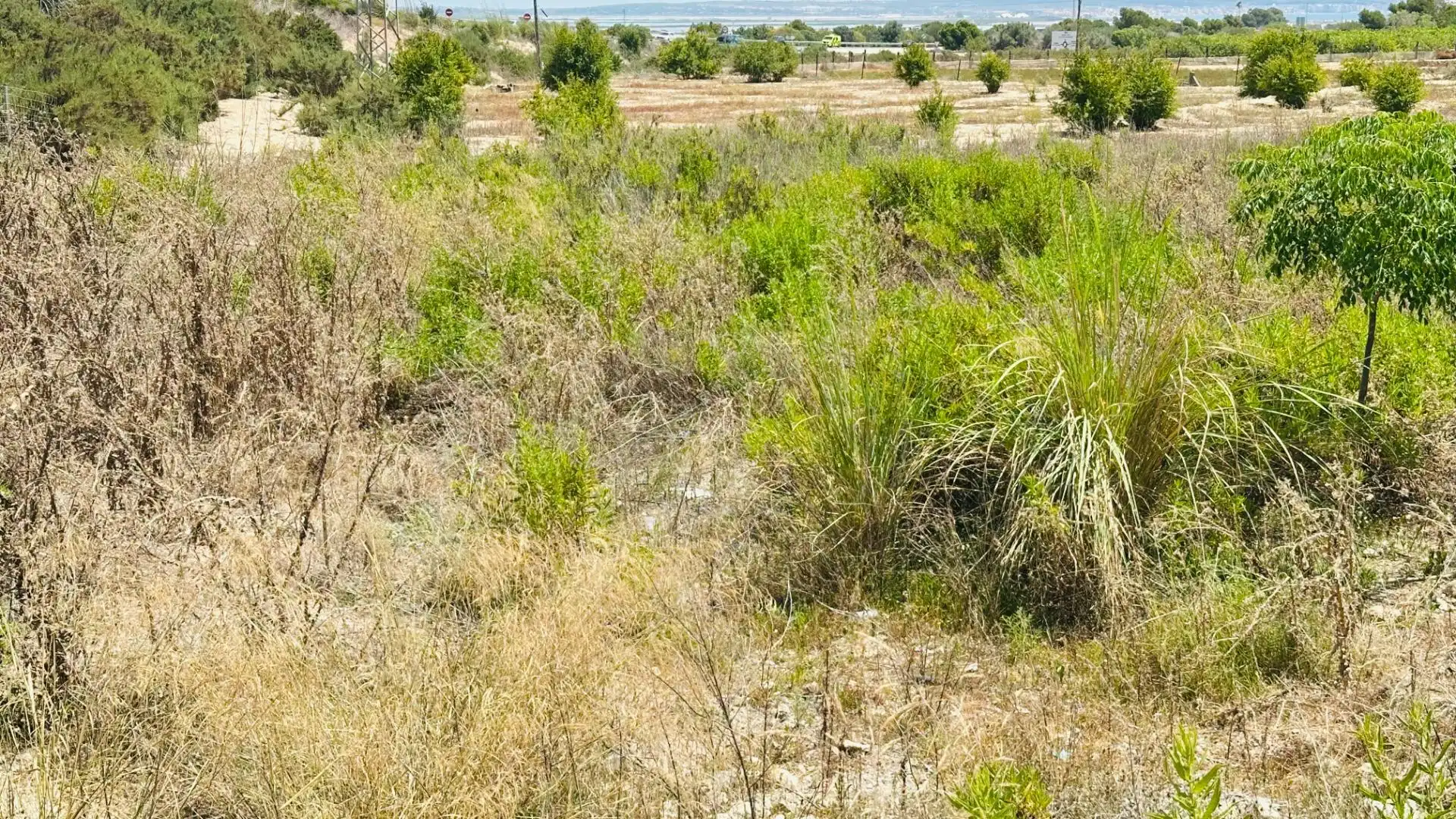 Terrain rustique à vendre à La Marina, imagen 22