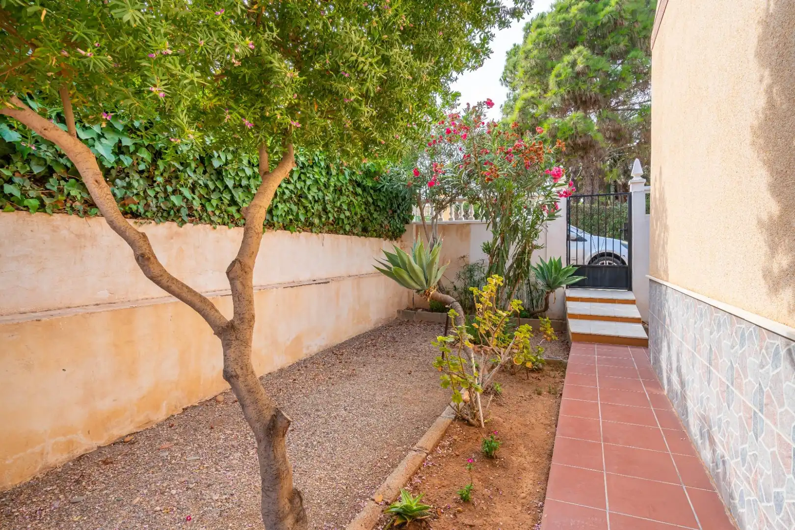 Jardín de Casa o chalet en venta en Roquetas de Mar