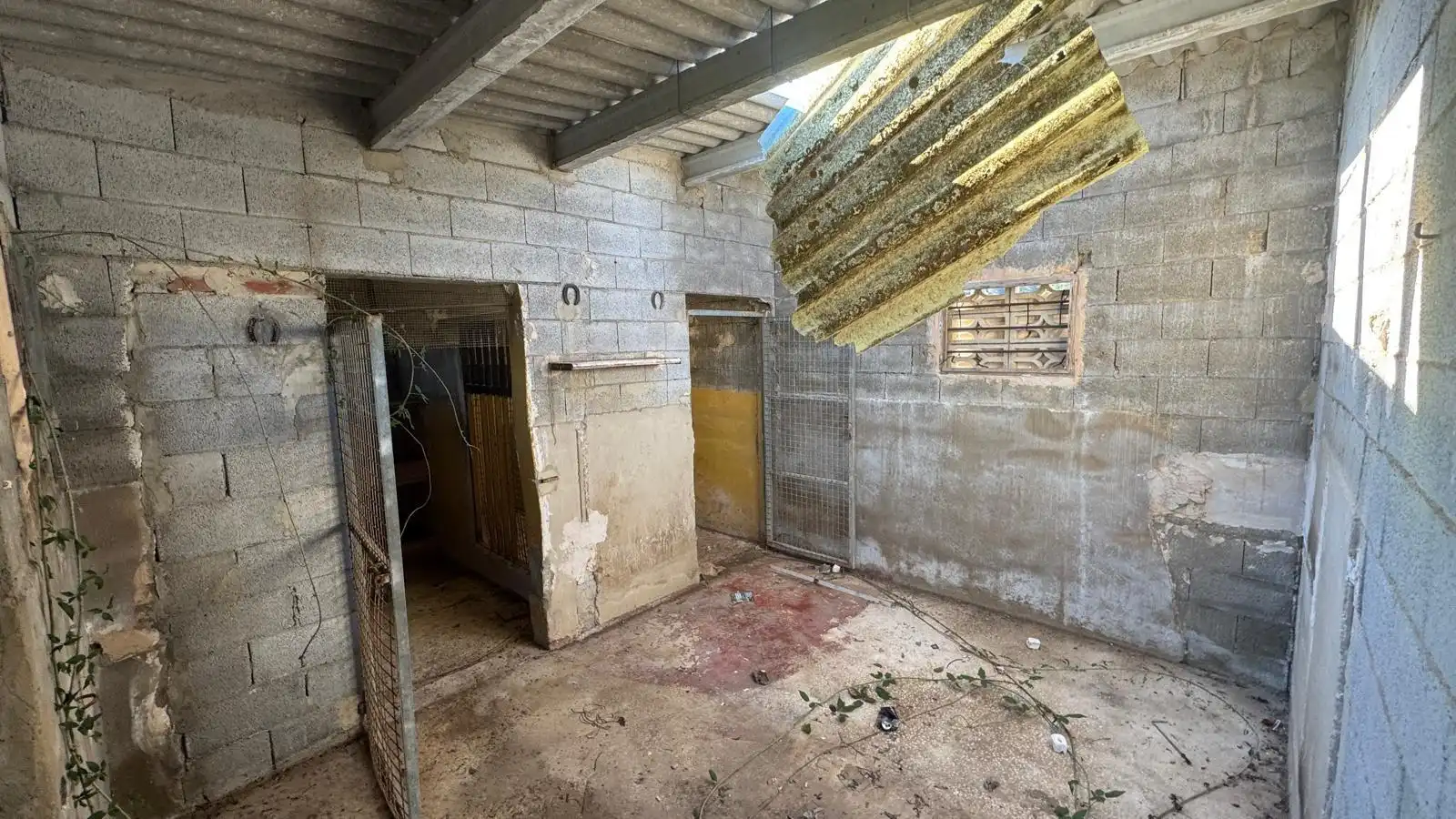 Finca rústica en venta en Simat de la Valldigna