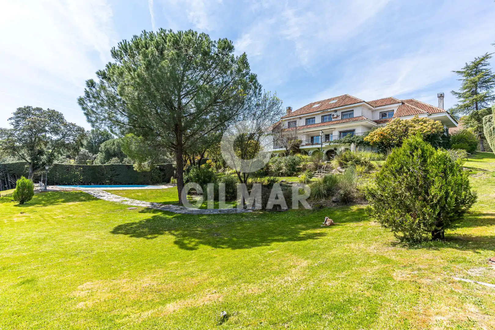 Jardí de Casa o xalet en venda en Las Rozas de Madrid amb Aire condicionat, Calefacció i Jardí privat