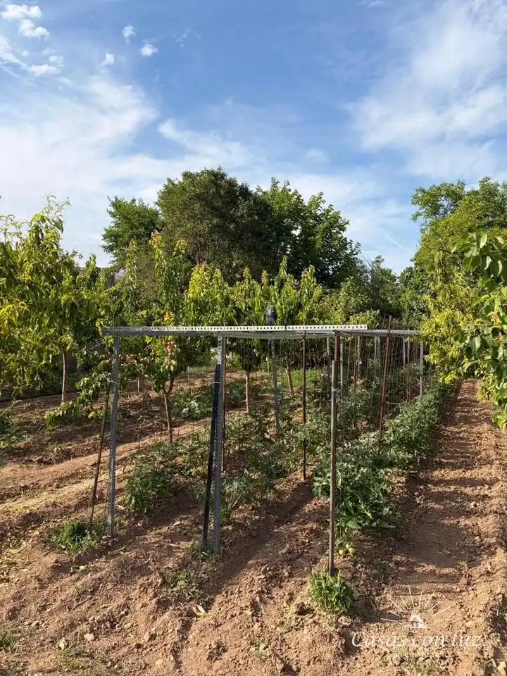 Jardí de Finca rústica en venda en Zaragoza amb Jardí privat i Piscina