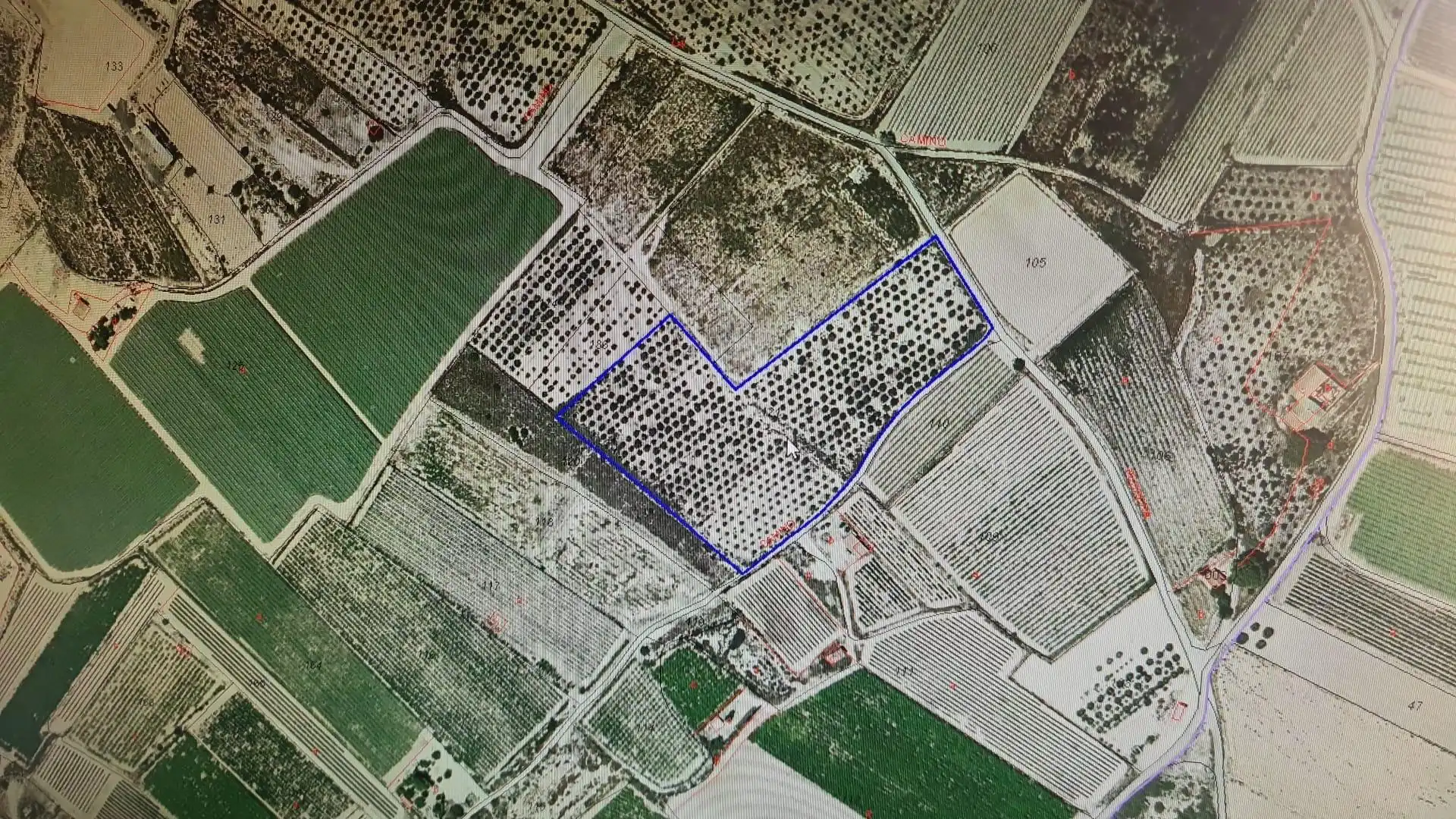 Terrenos y solares en venta en Monforte del Cid