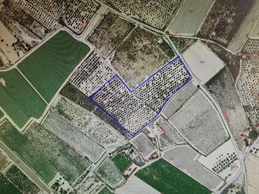 Terrenys i solars en venda a Monforte del Cid