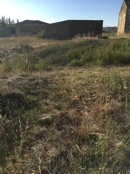 Terreni e lotti in vendita a S Francisco, imagen 4