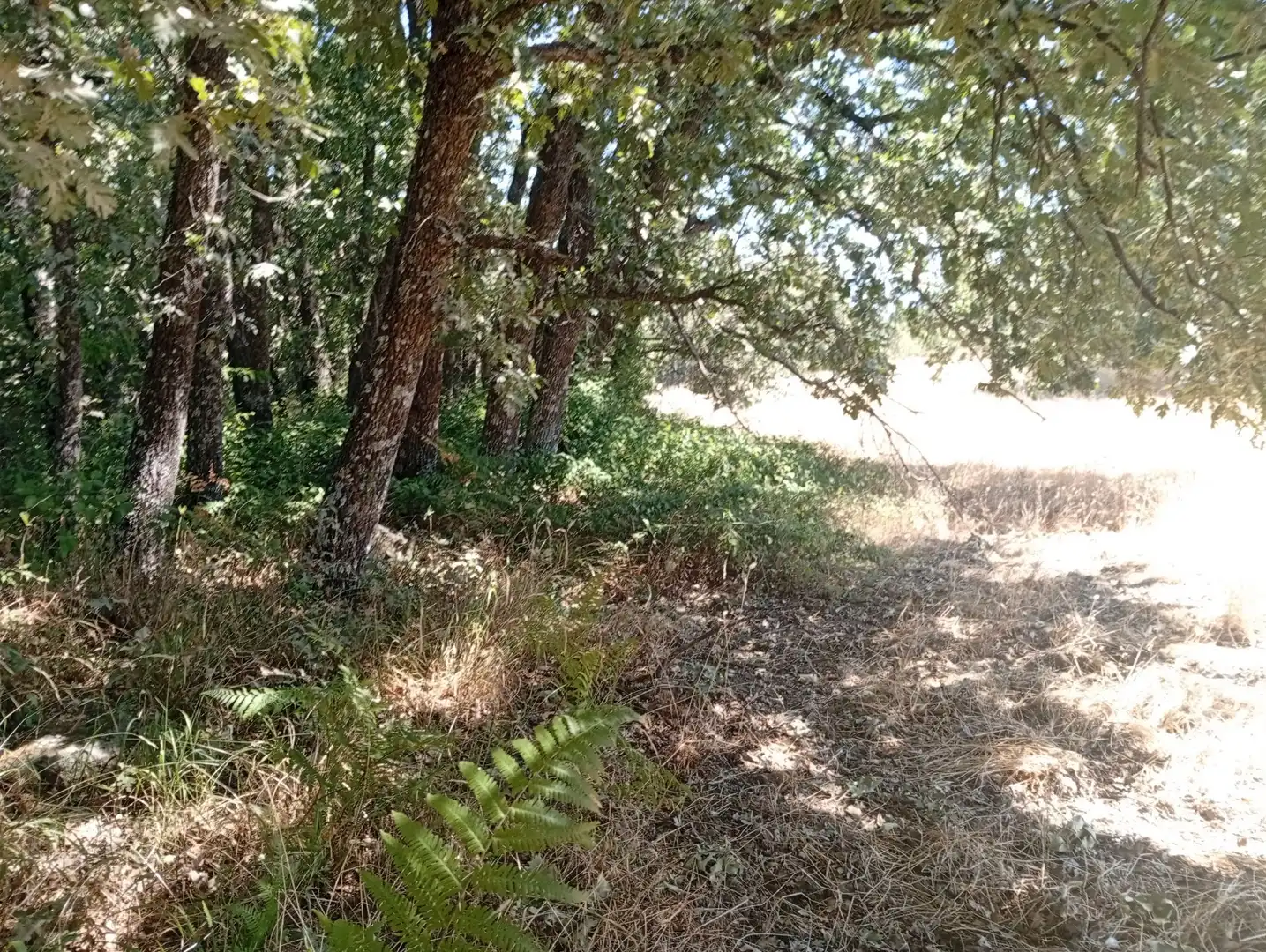 Terreni e lotti in vendita a Villanueva de la Vera, imagen 27