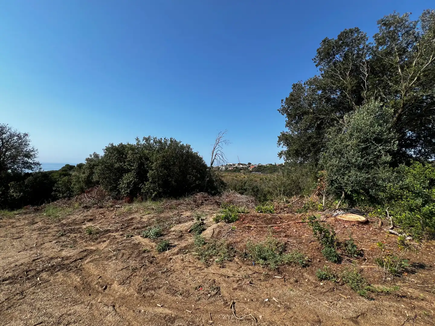 Terreny rústic en venda a Canet de Mar, imagen 7