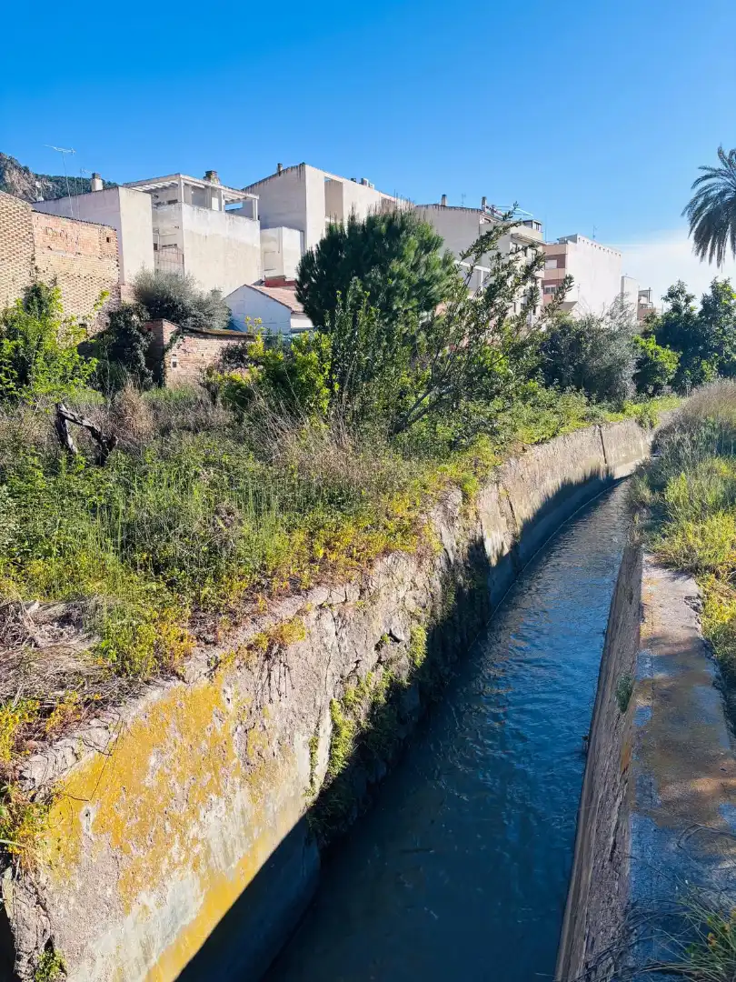Terreny rústic en venda a Pedanías Este