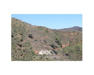 Residential for sale in El Borge