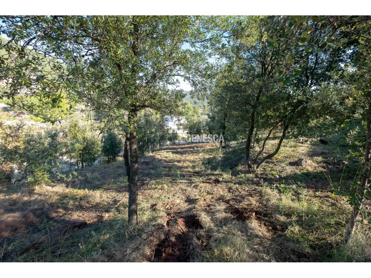 Wohnbaugrundstück zum Verkauf in Calle Poeta Maragall 36, imagen 8