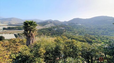 Photo 5 of Country homes for sale in Los Tablones - La Garnatilla, Motril