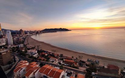 Vista exterior de Apartament en venda en Benidorm amb Aire condicionat, Calefacció i Jardí privat