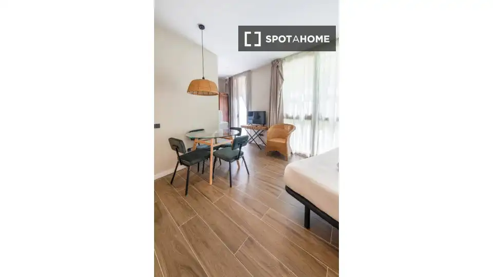 Appartamento con terrazza in affitto a Ciutat Vella, imagen 4