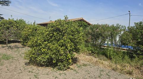 Foto 5 de Casa o xalet en venda a Camí de la Plana, 106, Pau Lledó, Castellón