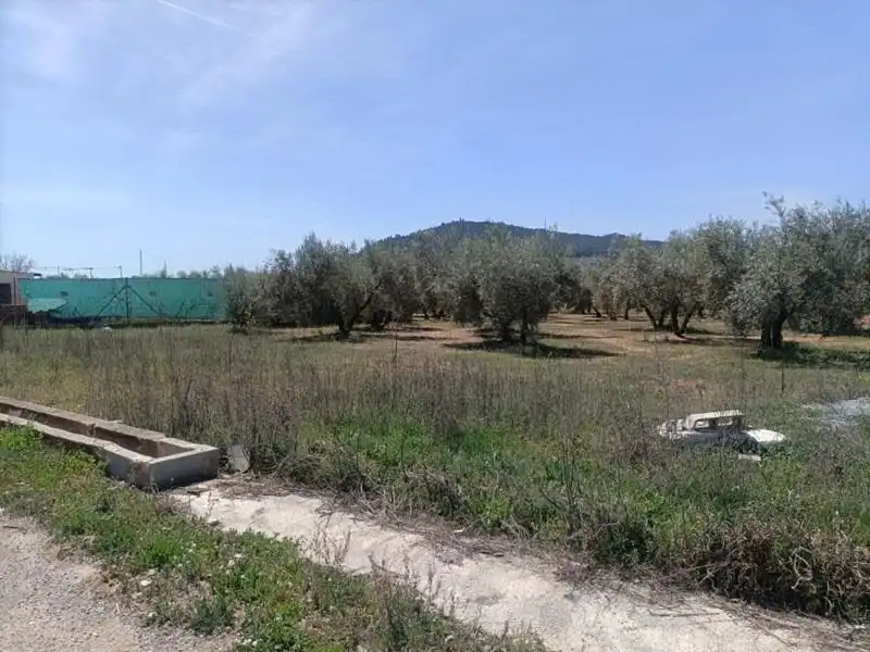 Terrenys i solars en venda a Polígono LA ZANJA, imagen 8