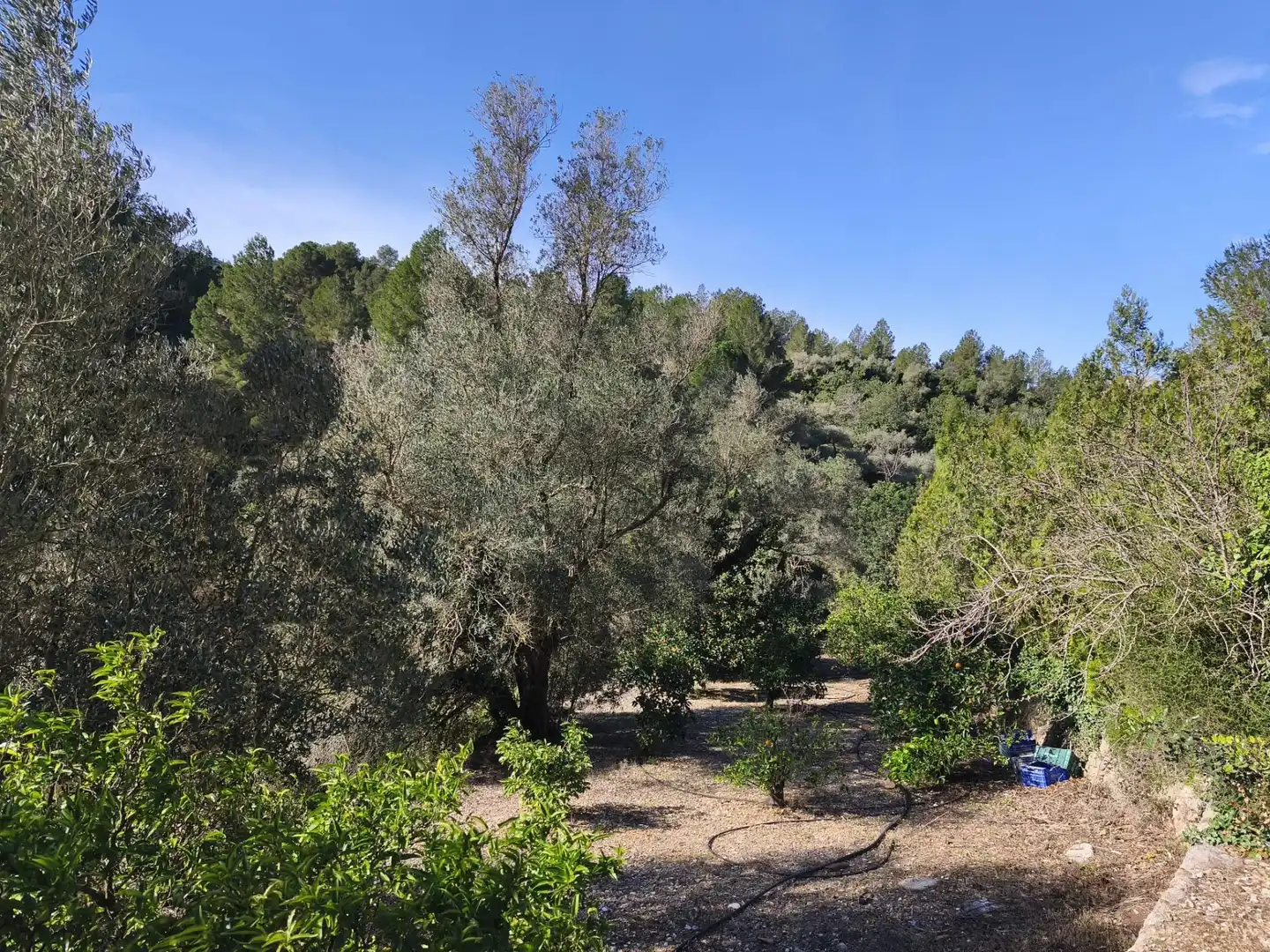 Casa con jardín en venta en Alfara de Carles, imagen 30