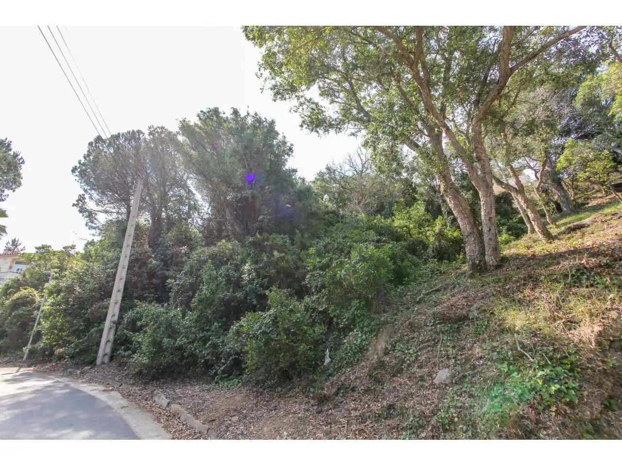 Rustikales Grundstück zum Verkauf in Avenida Illes 28, imagen 5