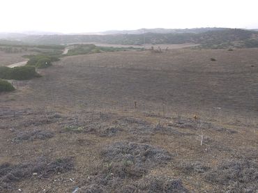 Terreno rustico in vendita a Los Franceses – La Vega
