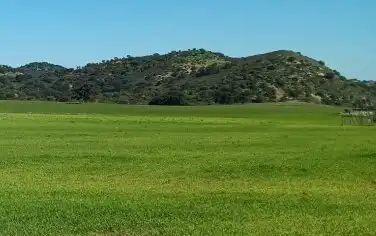 Rural land for sale in Marchena, imagen 6