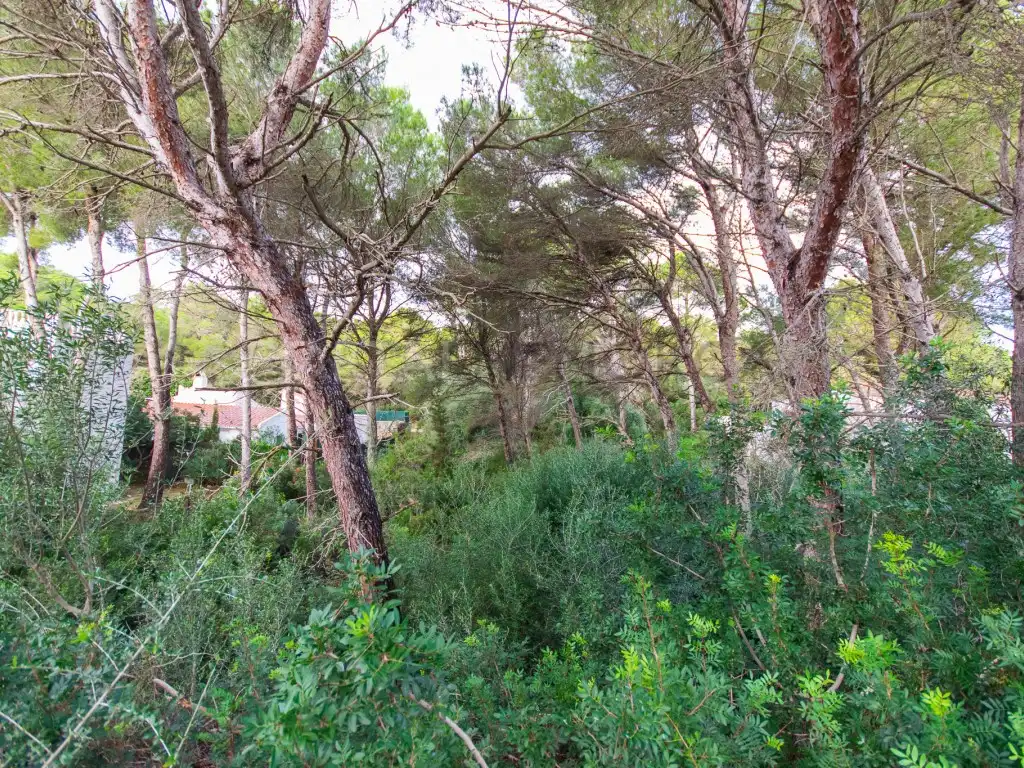 Residential land for sale in Son Parc, imagen 8