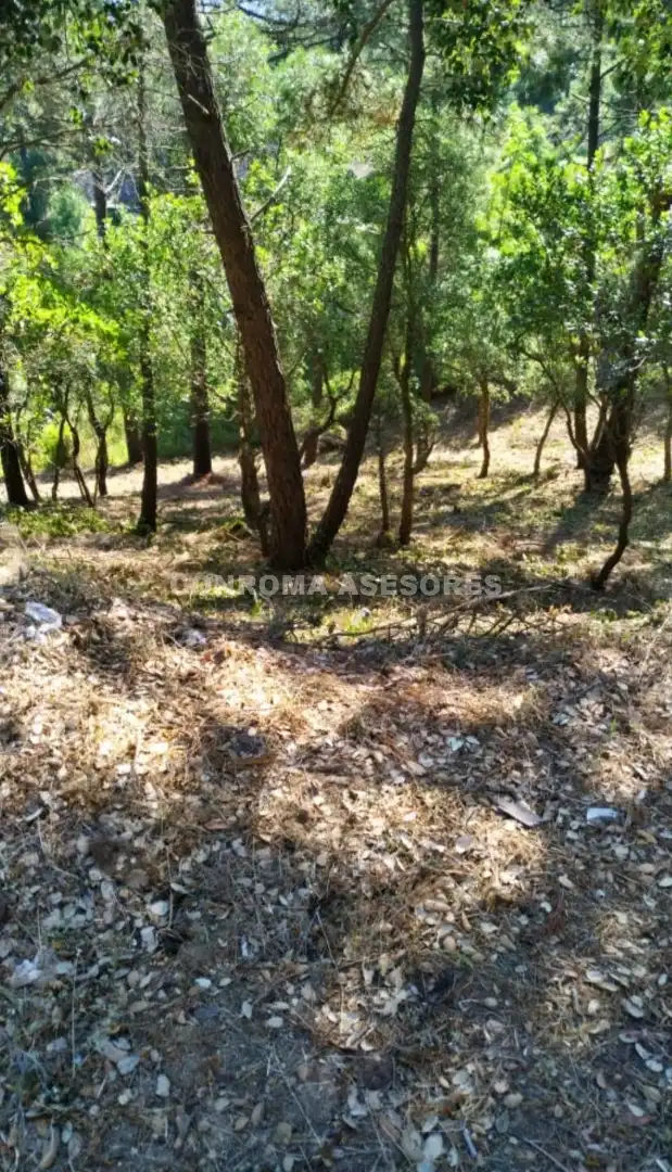 Wohnbaugrundstück zum Verkauf in Lloret Blau - La Creu de Lloret, imagen 2