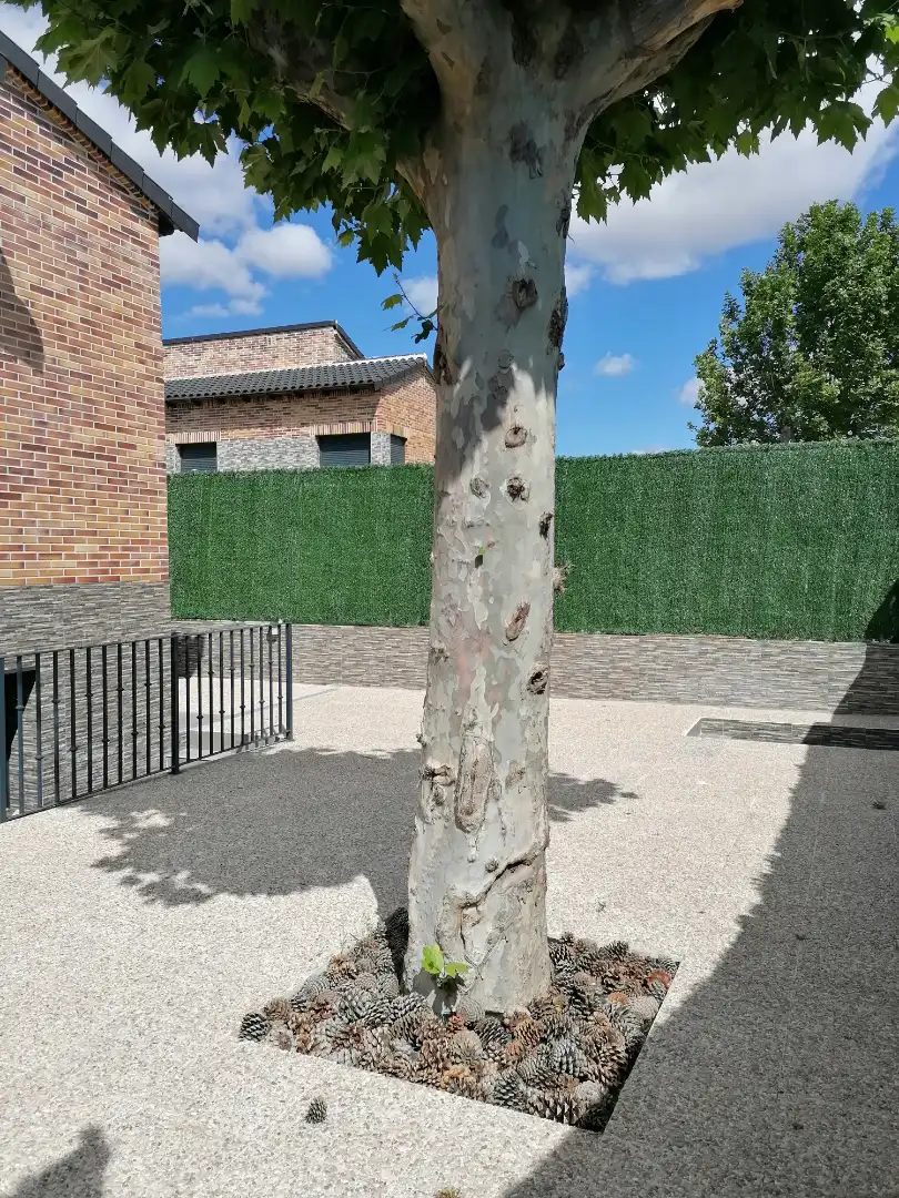Vista exterior de Apartament de lloguer en Villanueva de la Cañada amb Calefacció, Forn i Rentadora