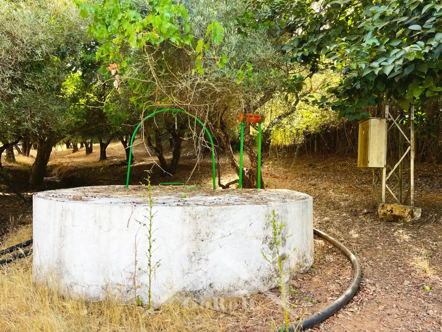 Garden of Land for sale in Constantina