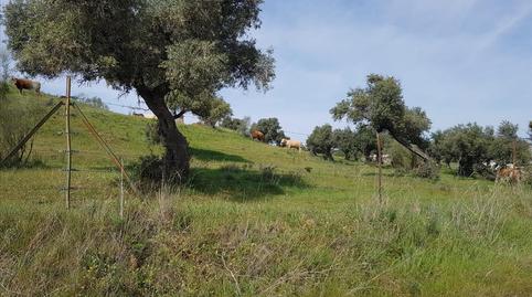 Foto 5 de Residencial en venda a A3, S.n, -1, Zona Sur - Av. de España - San Miguel, Plasencia