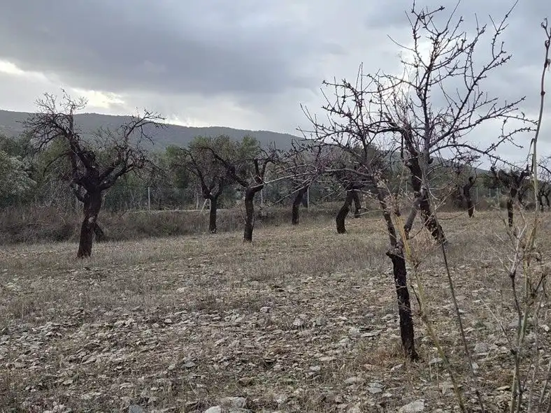 Grundstücke zum Verkauf in Abrucena
