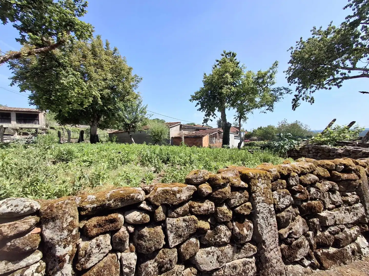 Finca rústica en venda en San Cristovo de Cea